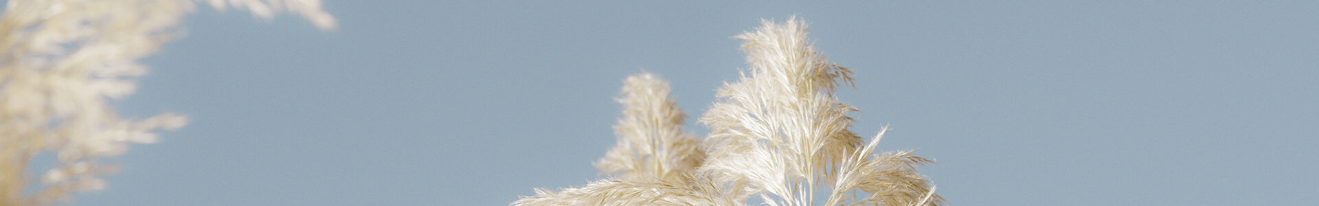 外反母趾の正しい対策や原因・予防法を解説する