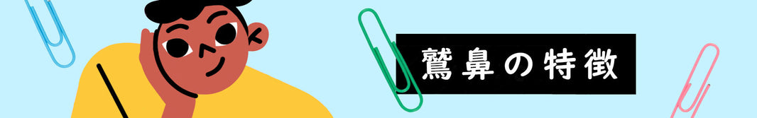 鷲鼻の特徴とは？見分け方・顔の印象・人相学までやさしく解説