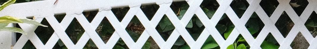 外反母趾で靴を履くと痛い原因と骨盤バランスの崩れ｜今すぐできる対策ガイド