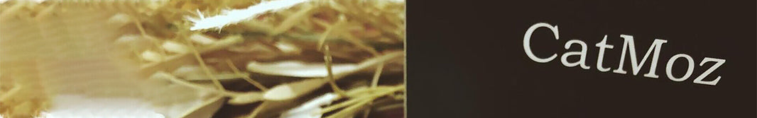 鼻筋セレブを使って毎日の鼻筋ケアをしながら理想の横顔美人を目指す様子をイメージした