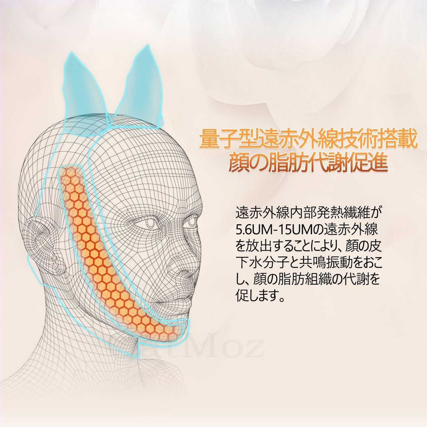 CatMoz フェイスリフトバンド Plus｜ダブルストラップ 三点安定