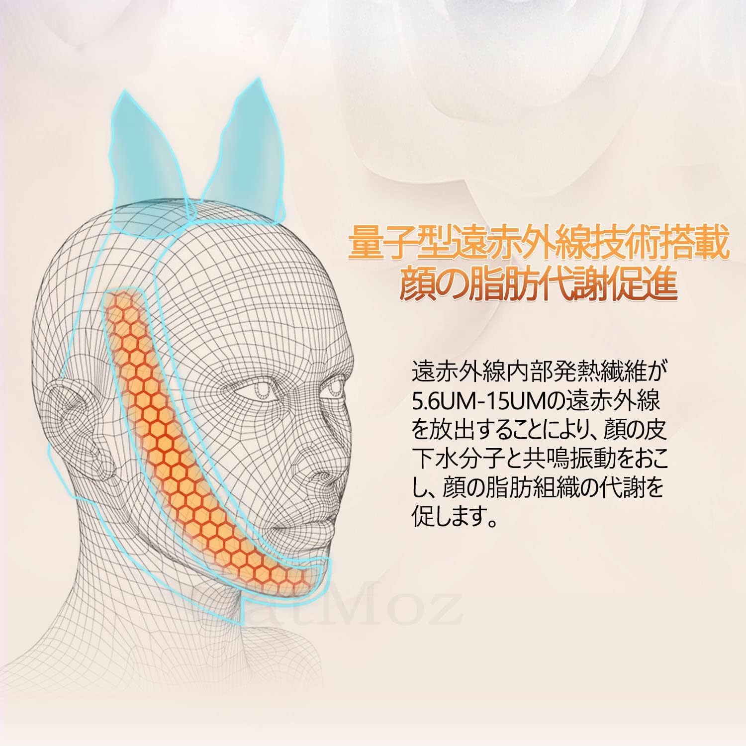 CatMoz フェイスリフトバンド Plus｜ダブルストラップ 三点安定