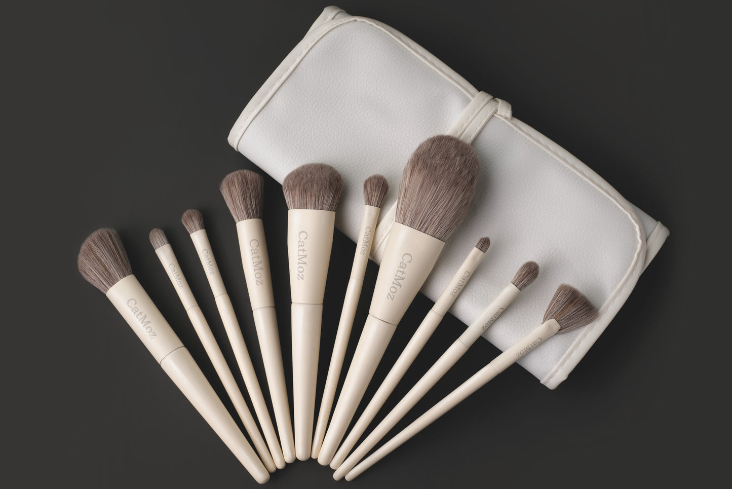 CatMoz メイクブラシ 10本セット｜ナノフィブリル・ケース付