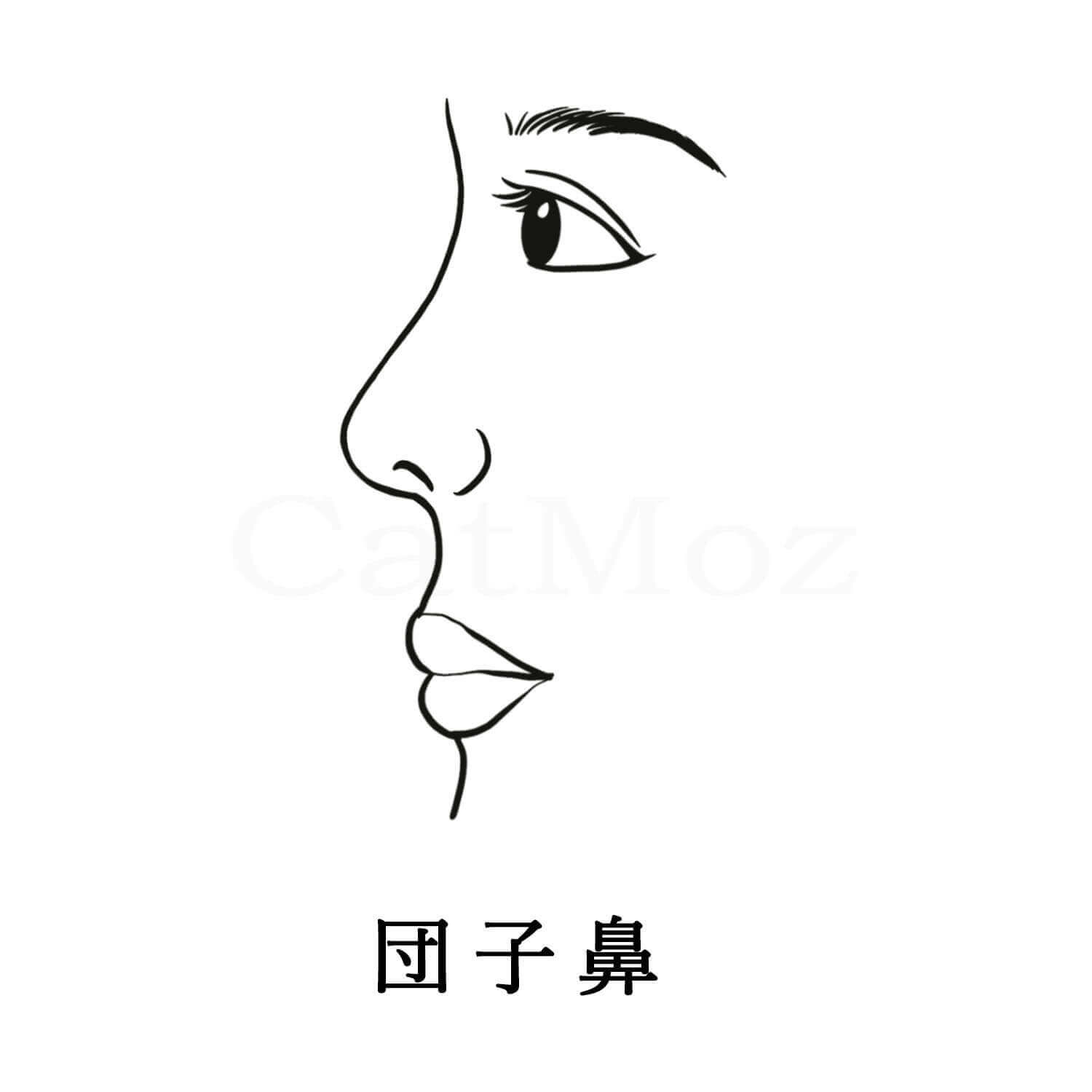 団子鼻（丸い鼻）とは日本人によく見られる。小鼻や鼻先が丸みを帯びている、特に鼻先のイメージを弱い形です。