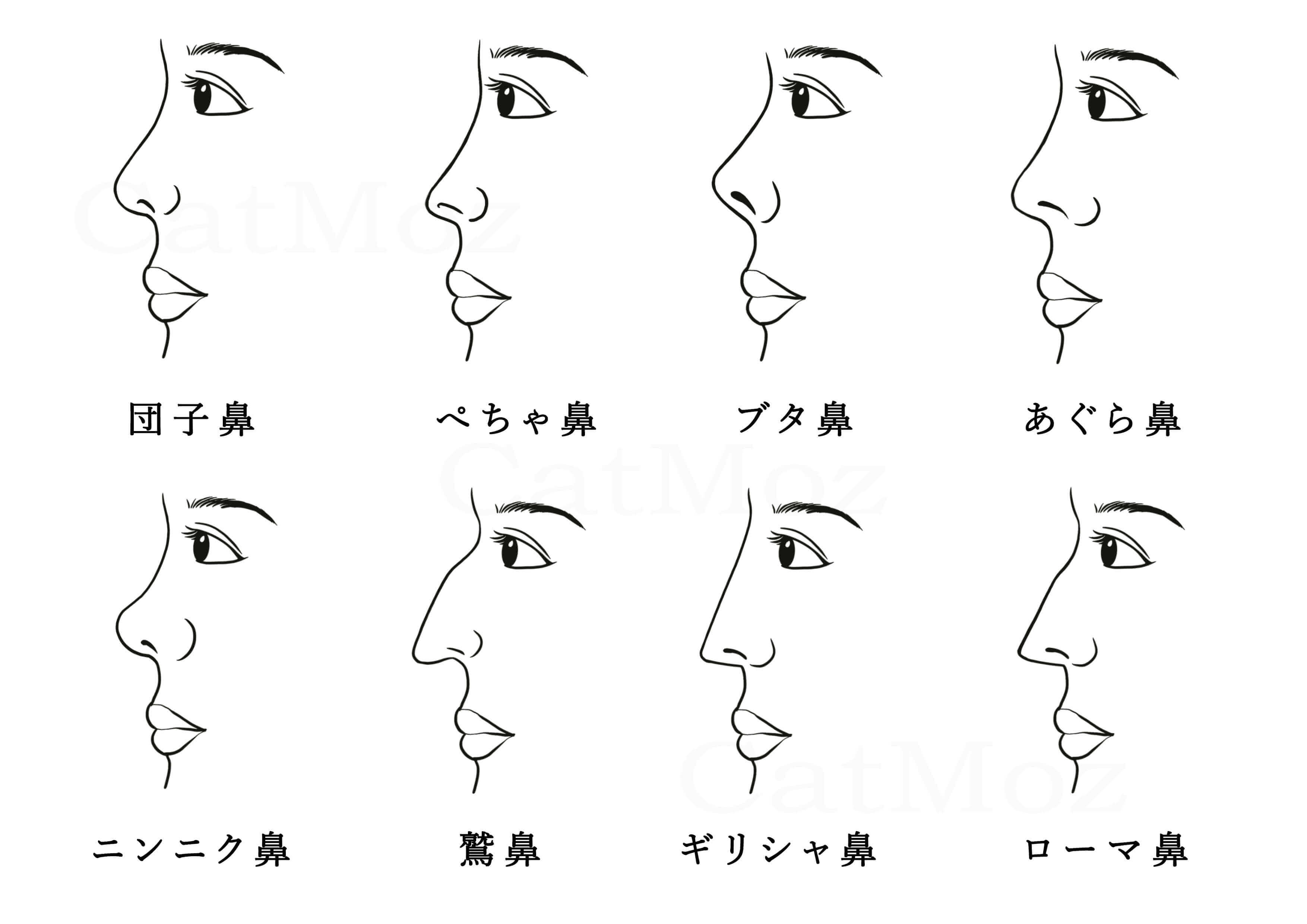 鼻の形の種類・名前を写真付きでわかりやすく解説。以下に挙げるいろいろな鼻の種類から、自分の鼻の型を探ってみよう！